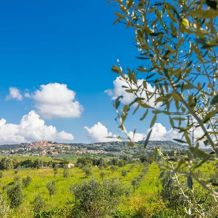 Casaltoscano-4 By Interhome * Casale Marittimo
